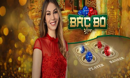 445bet aposta bbb cassino on-line